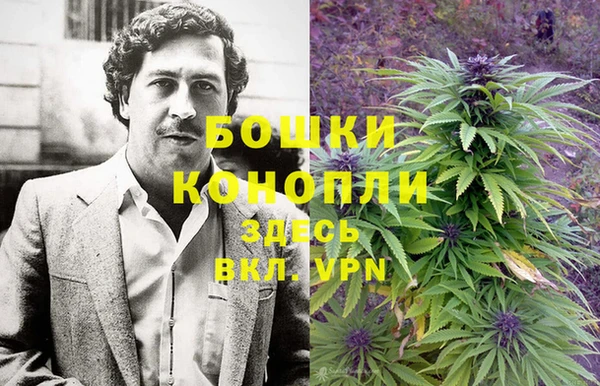 сатива Навашино