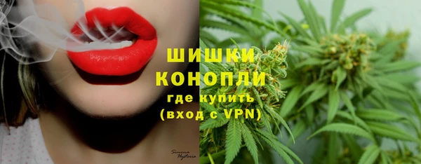 сатива Навашино