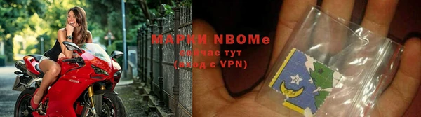 гидра Михайловка