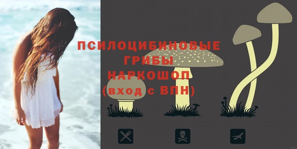 сатива Навашино