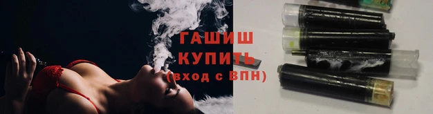 гидра Михайловка