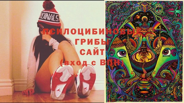 ешки Надым